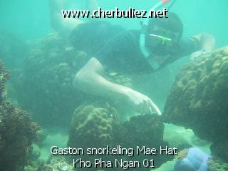 légende: Gaston snorkelling Mae Hat Kho Pha Ngan 01
qualityCode=raw
sizeCode=half

Données de l'image originale:
Taille originale: 57436 bytes
